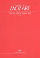 Sancta Maria, Mater Dei KV273 