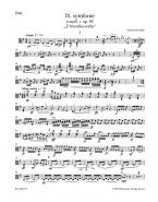 Symphonie Nr. 9 e-Moll op. 95 