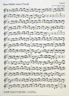 Jesus bleibet meine Freude 