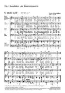 Die Choralsätze der Johannes-Passion 