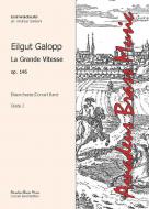 Eilgut Galopp 