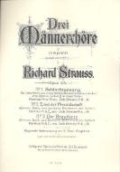 Drei Männerchöre op. 45 Nr. 3: Der Brauttanz Download