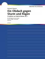 Ein Obdach gegen Sturm und Regen Download