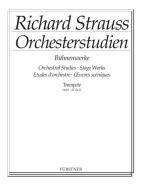 Orchesterstudien aus seinen Bühnenwerken 1 Download
