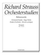 Orchesterstudien aus seinen Bühnenwerken 1 Download