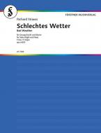 Schlechtes Wetter (hoch F-Dur) Download