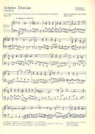 Adspice Domine Download