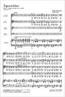 Zigeunerleben Download