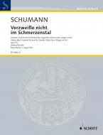 Verzweifle nicht im Schmerzenstal op. 93 Download