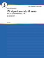 Di rigori armato il seno Download