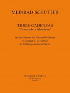 3 Kadenzen zu Mozarts Flötenkonzert KV 313 (285c) 