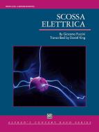 Scossa Elettrica Standard