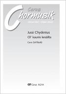 Ol' kaunis kesäilta 