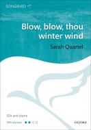 Blow, blow, thou winter wind 