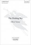 The Waiting Sky 