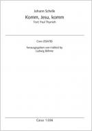 Komm, Jesu, komm, mein Leib ist müde 