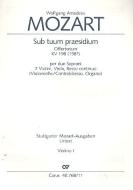 Sub tuum praesidium 