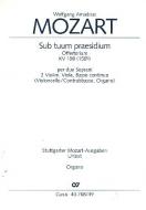 Sub tuum praesidium 