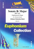 Sonate Bb Major BWV 1031 Standard