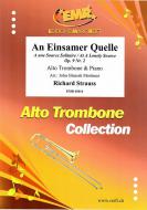 An Einsamer Quelle op. 9 Nr. 2 Standard
