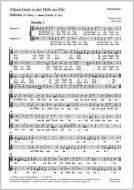 Allein Gott in der Höhe; Kyrie summum 