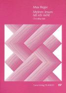 Meinen Jesum lass ich nicht 