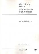 Was betrübst du dich 