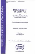 Moonlight on Mount Fuji 