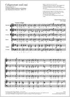 Caligaverunt oculi mei 