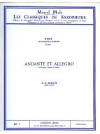 Sonate Nr. 1 (Violon): Andante Allegro 