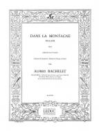 Dans La Montagne 