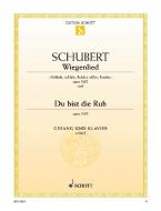 Wiegenlied / Du bist die Ruh Download