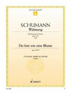 Widmung / Du bist wie eine Blume op. 25/1 und 24 Download