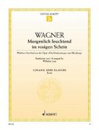 Morgenlich leuchtend im rosigen Schein Download