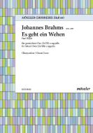 Es geht ein Wehen op. 62,6 Download