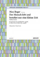 Der Mensch lebt und bestehet nur eine kleine Zeit Download