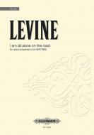 I am all alone on the road 