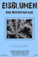 Eisblumen 