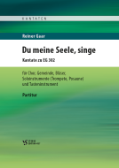 Du meine Seele, singe 