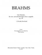 Ich aber bin elend op. 110,1 