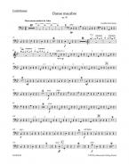 Danse macabre op. 40 