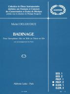 Michel Delguidice: Badinage 