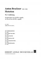 Motetten Nr. 5 Download