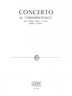 Concerto dit 'l'Irrespectueux' 