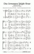 Des Sommers letzte Rose 