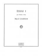 Essai 1 