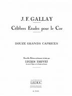 12 Grands Caprices op. 32 