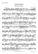 Stänk Och Flikar - Splashes And Spray 