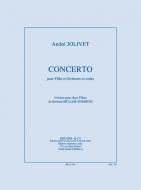 Concerto pour Flute et Orchestre 