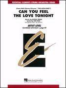 Can You Feel the Love Tonight 